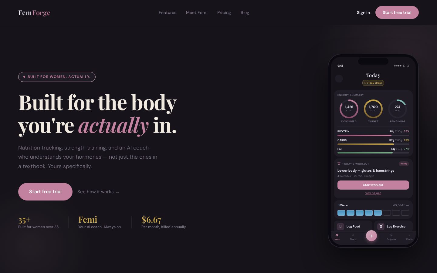 FemForge product screenshot